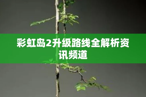 彩虹岛2升级路线全解析资讯频道图片