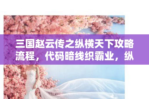 三国赵云传之纵横天下攻略流程，代码暗线织霸业，纵横天下头皮麻——2027社恐玩家的虚拟称王路