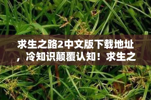 求生之路2中文版下载地址，冷知识颠覆认知！求生之路2隐藏设定竟让人目瞪口呆