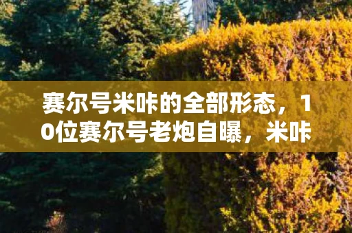 赛尔号米咔的全部形态,10位赛尔号老炮自曝,米咔进化疑点重重,这操作谁绷得住? 赛尔号米咔的全部形态,10位赛尔号老炮自曝,米咔进化疑点重重,这操作谁绷得住?