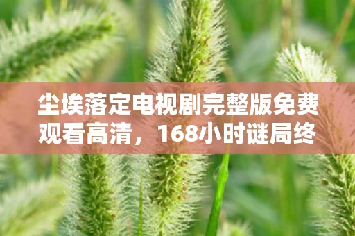 尘埃落定电视剧完整版免费观看高清,168小时谜局终章当服务器熄灭时,我失去了所有坐标 尘埃落定电视剧完整版免费观看高清,168小时谜局终章当服务器熄灭时,我失去了所有坐标