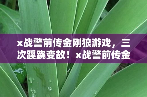 x战警前传金刚狼游戏,三次蹊跷变故!x战警前传金刚狼背后真相让人后背发凉 x战警前传金刚狼游戏,三次蹊跷变故!x战警前传金刚狼背后真相让人后背发凉