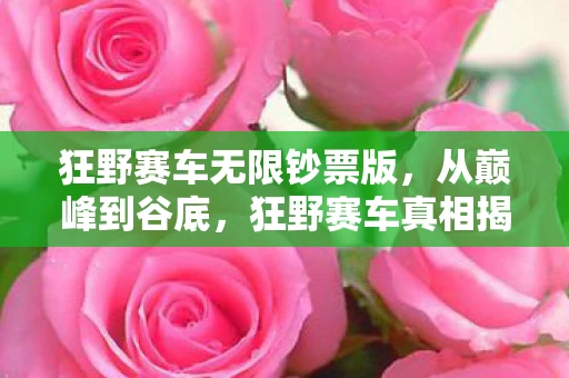 狂野赛车无限钞票版,从巅峰到谷底,狂野赛车真相揭秘,笑着骂完,却哭着点开了游戏 狂野赛车无限钞票版,从巅峰到谷底,狂野赛车真相揭秘,笑着骂完,却哭着点开了游戏