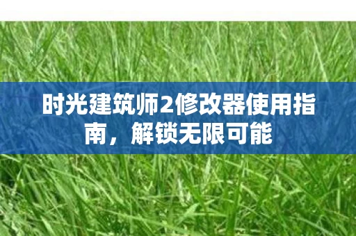 时光建筑师2修改器使用指南图片