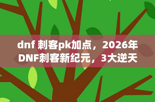 dnf 刺客pk加点,2026年DNF刺客新纪元,3大逆天改动,能否重登神坛? dnf 刺客pk加点,2026年DNF刺客新纪元,3大逆天改动,能否重登神坛?