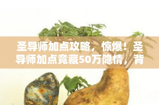 圣导师加点攻略，惊爆！圣导师加点竟藏50万隐情，背后真相让人吓一跳！