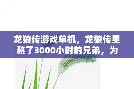 龙狼传游戏单机，龙狼传里熬了3000小时的兄弟，为何在2027年删号前砸了键盘？