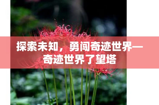 奇迹世界了望塔图片
