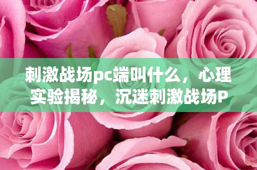 刺激战场pc端叫什么，心理实验揭秘，沉迷刺激战场PC的多巴胺陷阱，细思极恐！