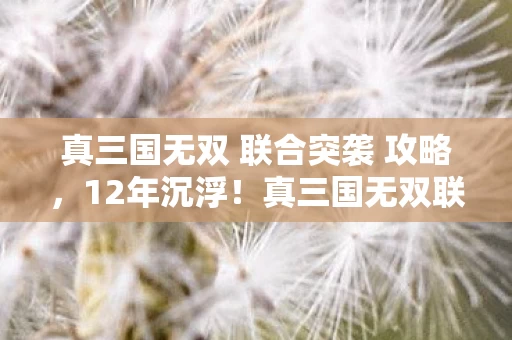 真三国无双 联合突袭 攻略，12年沉浮！真三国无双联合突袭背后藏着多少未解之谜？