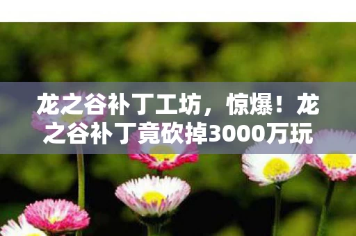 龙之谷补丁工坊，惊爆！龙之谷补丁竟砍掉3000万玩法，背后隐情让人吓一跳！