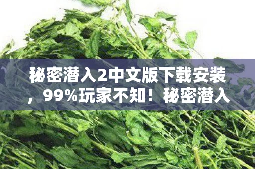 秘密潜入2中文版下载安装,99%玩家不知!秘密潜入2中文版竟藏这3大逆天彩蛋? 秘密潜入2中文版下载安装,99%玩家不知!秘密潜入2中文版竟藏这3大逆天彩蛋?