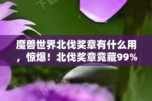 魔兽世界北伐奖章有什么用,惊爆!北伐奖章竟藏99%人不知的逆天玩法,错过血亏! 魔兽世界北伐奖章有什么用,惊爆!北伐奖章竟藏99%人不知的逆天玩法,错过血亏!