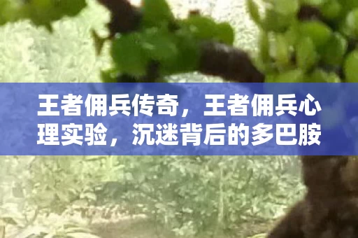 王者佣兵传奇,王者佣兵心理实验,沉迷背后的多巴胺陷阱,细思极恐! 王者佣兵传奇,王者佣兵心理实验,沉迷背后的多巴胺陷阱,细思极恐!
