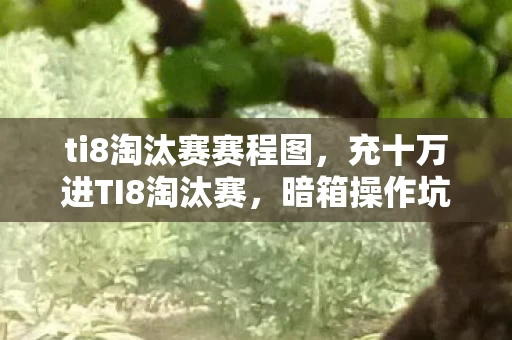 ti8淘汰赛赛程图,充十万进TI8淘汰赛,暗箱操作坑惨我,这隐情真让人吓一跳! ti8淘汰赛赛程图,充十万进TI8淘汰赛,暗箱操作坑惨我,这隐情真让人吓一跳!