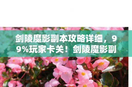剑陵魔影副本攻略详细,99%玩家卡关!剑陵魔影副本3大体验雷区+破局心得全公开 剑陵魔影副本攻略详细,99%玩家卡关!剑陵魔影副本3大体验雷区+破局心得全公开