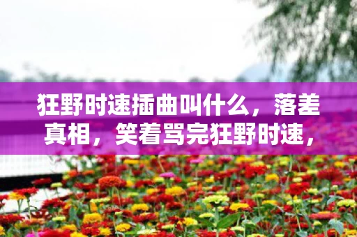 狂野时速插曲叫什么,落差真相,笑着骂完狂野时速,笑着笑着竟哭了 狂野时速插曲叫什么,落差真相,笑着骂完狂野时速,笑着笑着竟哭了