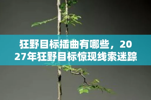 狂野目标插曲有哪些,2027年狂野目标惊现线索迷踪,悬案背后毛骨悚然真相待揭 狂野目标插曲有哪些,2027年狂野目标惊现线索迷踪,悬案背后毛骨悚然真相待揭
