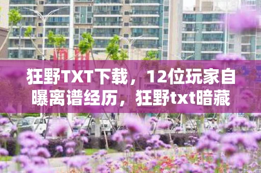 狂野TXT下载,12位玩家自曝离谱经历,狂野txt暗藏玄机,老炮当场绷不住! 狂野TXT下载,12位玩家自曝离谱经历,狂野txt暗藏玄机,老炮当场绷不住!