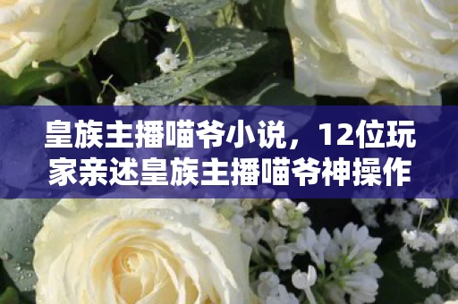 皇族主播喵爷小说,12位玩家亲述皇族主播喵爷神操作,这疑点谁看了不绷不住? 皇族主播喵爷小说,12位玩家亲述皇族主播喵爷神操作,这疑点谁看了不绷不住?