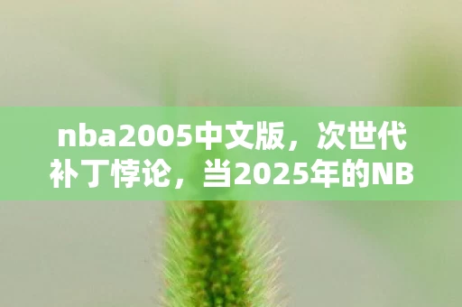nba2005中文版，次世代补丁悖论，当2025年的NBA2005成为中年人的存在主义审判场
