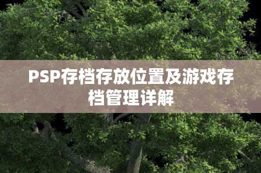 PSP存档存放位置及游戏存档管理详解图片