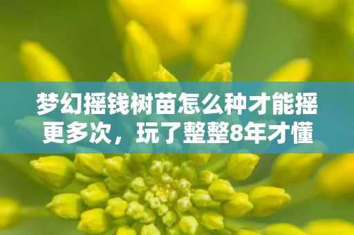 梦幻摇钱树苗怎么种才能摇更多次,玩了整整8年才懂!梦幻摇钱树苗3种种植法,选错血亏还是暴富? 梦幻摇钱树苗怎么种才能摇更多次,玩了整整8年才懂!梦幻摇钱树苗3种种植法,选错血亏还是暴富?