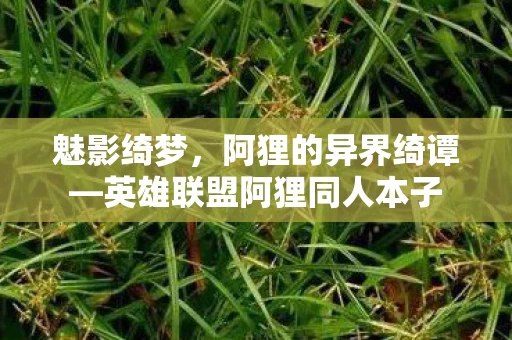 英雄联盟阿狸同人本子图片