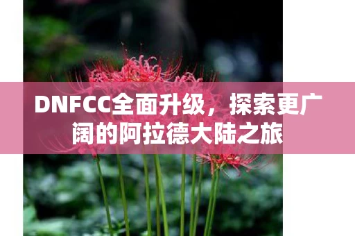 探索更广阔的阿拉德大陆之旅图片
