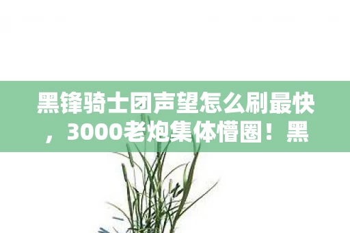 黑锋骑士团声望怎么刷最快,3000老炮集体懵圈!黑锋声望刷到吐血,这操作真绷不住了 黑锋骑士团声望怎么刷最快,3000老炮集体懵圈!黑锋声望刷到吐血,这操作真绷不住了