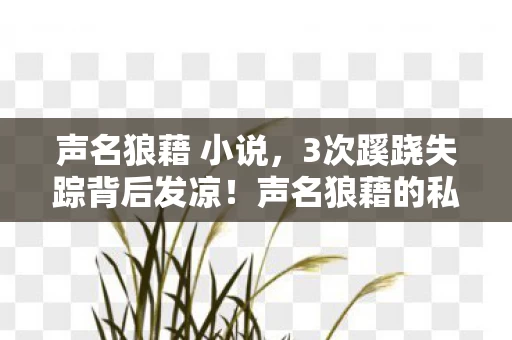 声名狼藉 小说,3次蹊跷失踪背后发凉!声名狼藉的私生子竟藏着惊天反转 声名狼藉 小说,3次蹊跷失踪背后发凉!声名狼藉的私生子竟藏着惊天反转