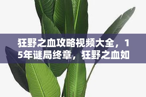 狂野之血攻略视频大全，15年谜局终章，狂野之血如何用血色代码铸就泪目传奇