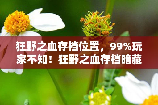 狂野之血存档位置,99%玩家不知!狂野之血存档暗藏3大逆天机制,通关率飙升200%的真相 狂野之血存档位置,99%玩家不知!狂野之血存档暗藏3大逆天机制,通关率飙升200%的真相