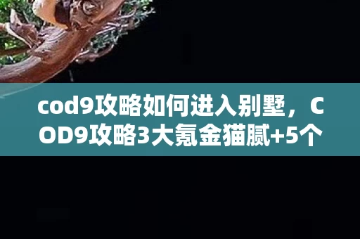 cod9攻略如何进入别墅,COD9攻略3大氪金猫腻+5个伪创新陷阱,这破游戏凭啥让我上头10年? cod9攻略如何进入别墅,COD9攻略3大氪金猫腻+5个伪创新陷阱,这破游戏凭啥让我上头10年?