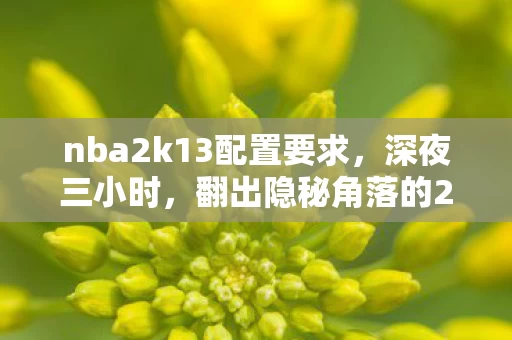 nba2k13配置要求,深夜三小时,翻出隐秘角落的2K13,哽咽着看它还能不能跑 nba2k13配置要求,深夜三小时,翻出隐秘角落的2K13,哽咽着看它还能不能跑