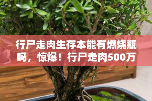 行尸走肉生存本能有燃烧瓶吗,惊爆!行尸走肉500万方案隐情曝光,离职老兵掀桌,这操作吓我一跳! 行尸走肉生存本能有燃烧瓶吗,惊爆!行尸走肉500万方案隐情曝光,离职老兵掀桌,这操作吓我一跳!