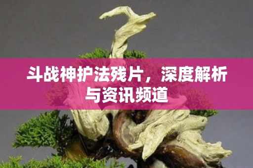 深度解析与资讯频道图片