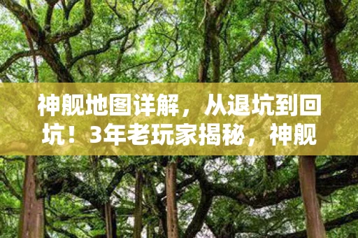 神舰地图详解,从退坑到回坑!3年老玩家揭秘,神舰地图2027竟藏着这等玄机? 神舰地图详解,从退坑到回坑!3年老玩家揭秘,神舰地图2027竟藏着这等玄机?