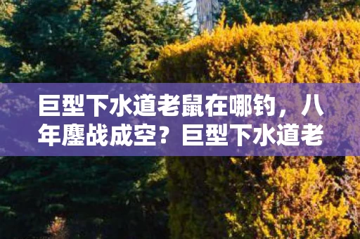 巨型下水道老鼠在哪钓,八年鏖战成空?巨型下水道老鼠谜题终未解,泪目收场 巨型下水道老鼠在哪钓,八年鏖战成空?巨型下水道老鼠谜题终未解,泪目收场