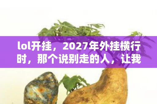 lol开挂,2027年外挂横行时,那个说别走的人,让我鼻子一酸 lol开挂,2027年外挂横行时,那个说别走的人,让我鼻子一酸