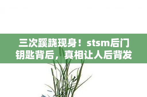 三次蹊跷现身!stsm后门钥匙背后,真相让人后背发凉 三次蹊跷现身!stsm后门钥匙背后,真相让人后背发凉