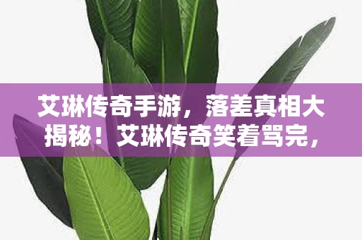 艾琳传奇手游,落差真相大揭秘!艾琳传奇笑着骂完,最后却笑着笑着哭了 艾琳传奇手游,落差真相大揭秘!艾琳传奇笑着骂完,最后却笑着笑着哭了