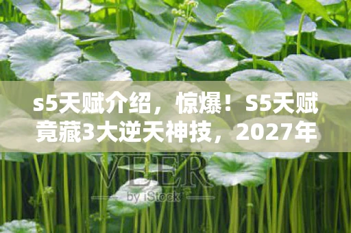 s5天赋介绍,惊爆!S5天赋竟藏3大逆天神技,2027年体验者集体沸腾! s5天赋介绍,惊爆!S5天赋竟藏3大逆天神技,2027年体验者集体沸腾!