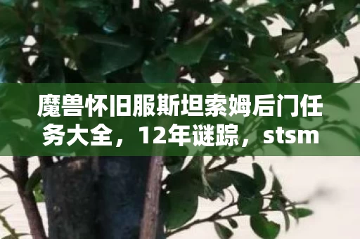 魔兽怀旧服斯坦索姆后门任务大全,12年谜踪,stsm后门藏尸案,玩家泪目,我们究竟在等什么? 魔兽怀旧服斯坦索姆后门任务大全,12年谜踪,stsm后门藏尸案,玩家泪目,我们究竟在等什么?