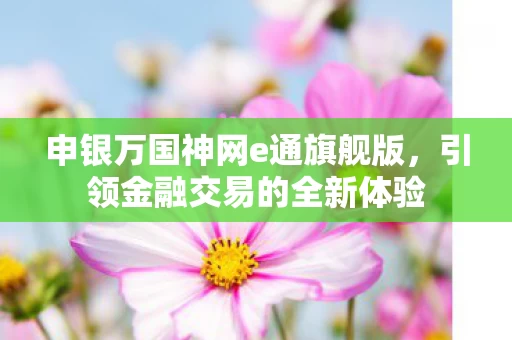 申银万国神网e通旗舰版图片