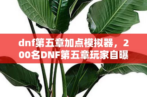 dnf第五章加点模拟器,200名DNF第五章玩家自曝,那些年网吧里的疑点,我绷不住了! dnf第五章加点模拟器,200名DNF第五章玩家自曝,那些年网吧里的疑点,我绷不住了!