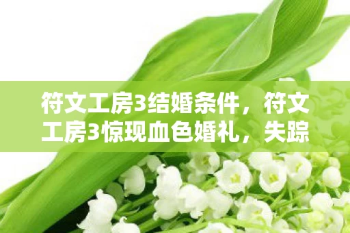 符文工房3结婚条件,符文工房3惊现血色婚礼,失踪新娘悬案,毛骨悚然真相竟藏杀戮符文 符文工房3结婚条件,符文工房3惊现血色婚礼,失踪新娘悬案,毛骨悚然真相竟藏杀戮符文