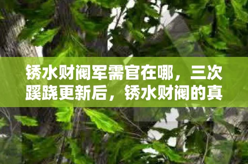 锈水财阀军需官在哪,三次蹊跷更新后,锈水财阀的真相让我后背发凉 锈水财阀军需官在哪,三次蹊跷更新后,锈水财阀的真相让我后背发凉