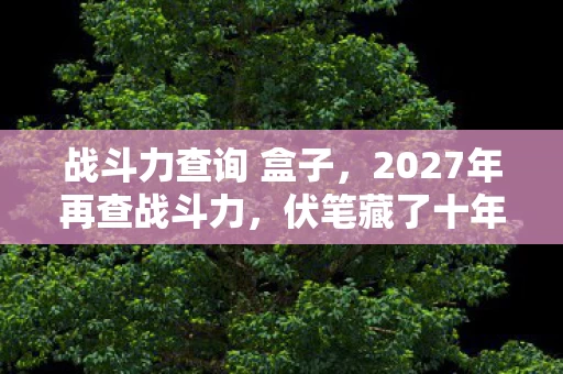 战斗力查询 盒子,2027年再查战斗力,伏笔藏了十年,看到结果时我鼻子一酸 战斗力查询 盒子,2027年再查战斗力,伏笔藏了十年,看到结果时我鼻子一酸