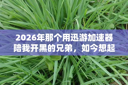 2026年那个用迅游加速器陪我开黑的兄弟,如今想起还是鼻子一酸 2026年那个用迅游加速器陪我开黑的兄弟,如今想起还是鼻子一酸